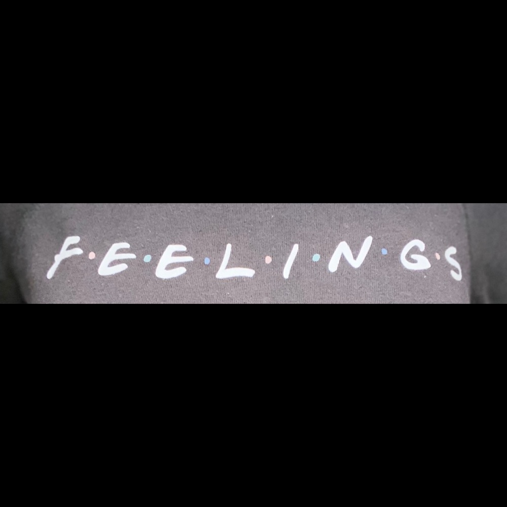 ｇｒｅｙ　ｆ．ｅ．ｅ．ｌ．ｉ．ｎ．ｇ．ｓ　ｓｗｅａｔｓｈｉｒｔ - Picture 2 of 2